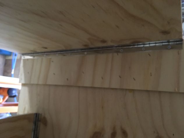 IMG_0282.JPG IMG_0282.JPG