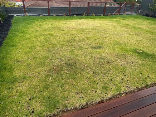 IMG_8885.jpeg IMG_8885.jpeg