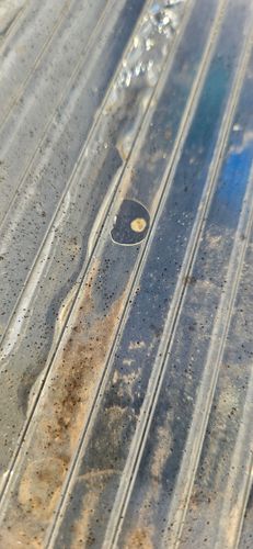 20240620_083909.jpg 20240620_083909.jpg