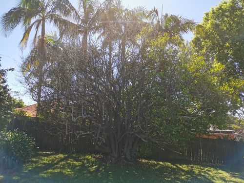 IMG_20241108_094555.jpg IMG_20241108_094555.jpg