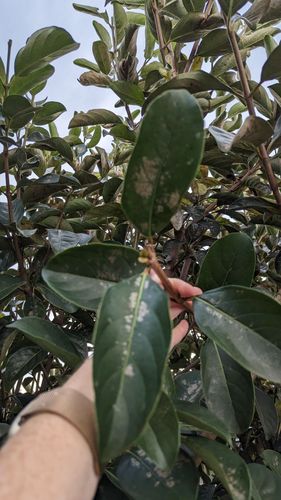 1000012928.jpg 1000012928.jpg