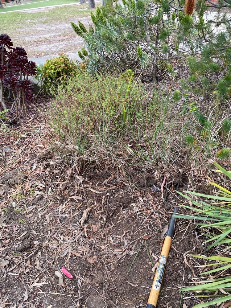 flag pole 1.jpeg flag pole 1.jpeg