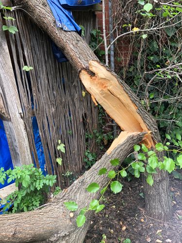 IMG_1507.jpg IMG_1507.jpg