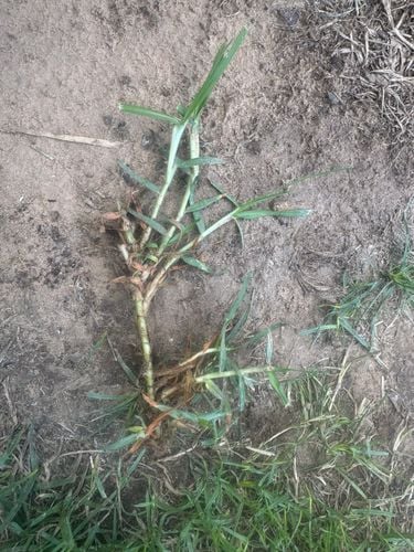 IMG_8190.jpeg IMG_8190.jpeg