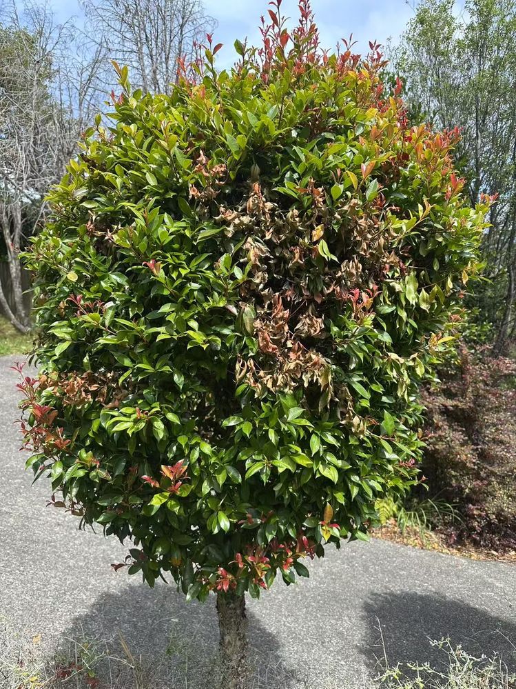 WechatIMG92.jpg WechatIMG92.jpg