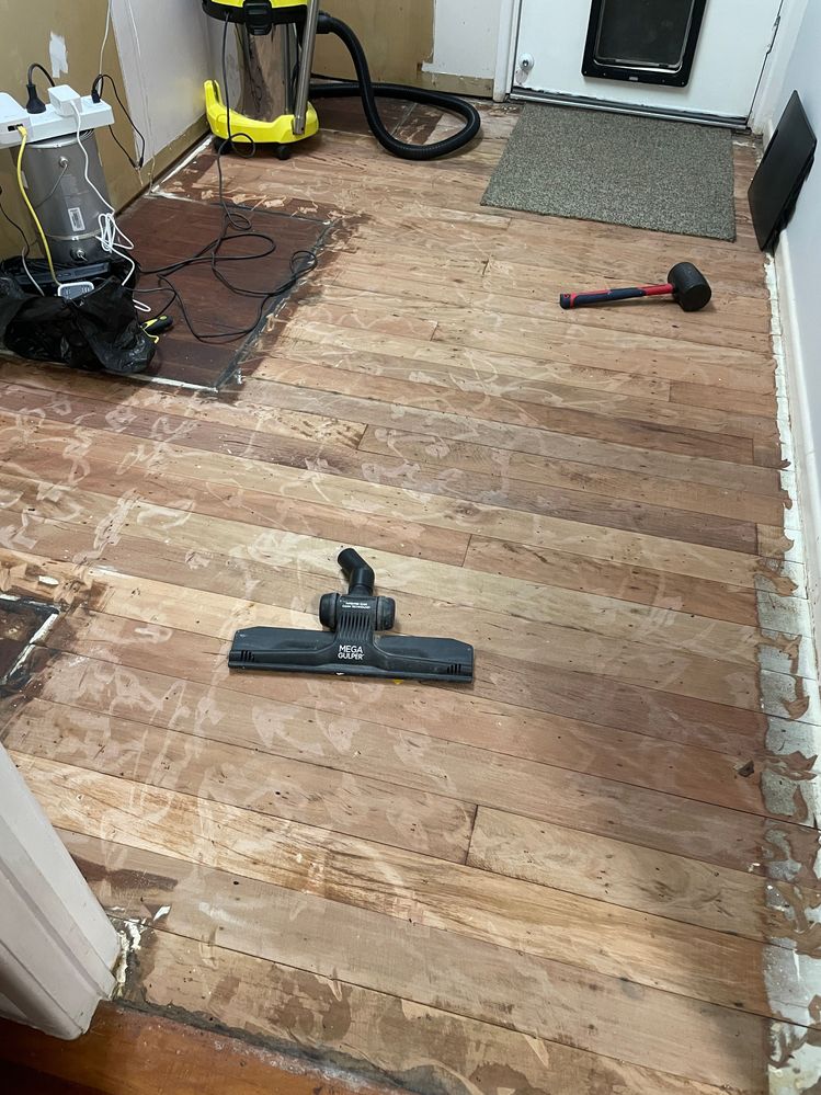 IMG_8294.JPG IMG_8294.JPG