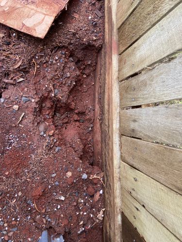 IMG_7534.jpeg IMG_7534.jpeg