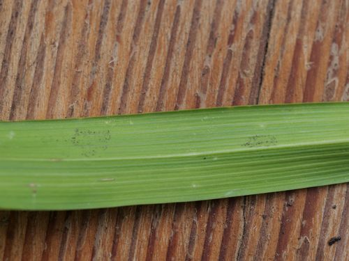 P1010188.jpg P1010188.jpg