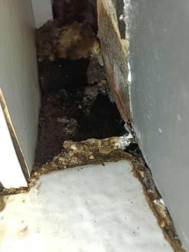 1000007047.jpg 1000007047.jpg