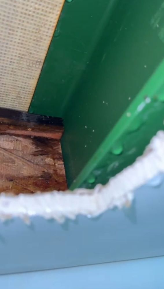 Capture.JPG Capture.JPG