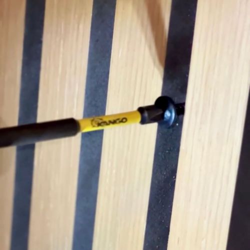 IMG_5679.jpeg IMG_5679.jpeg