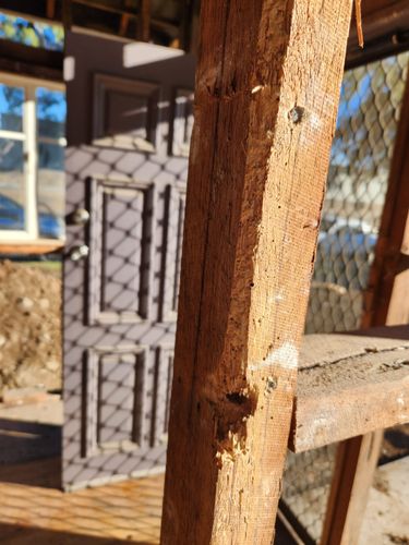 1000010452.jpg 1000010452.jpg