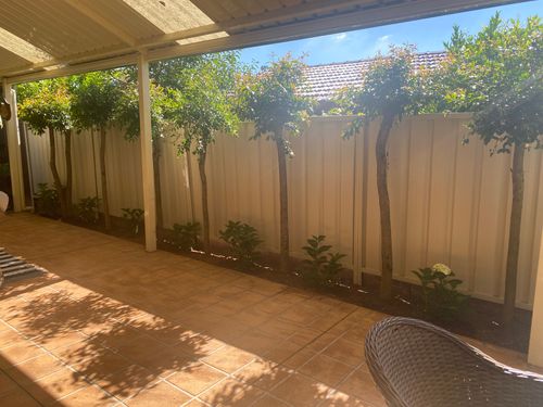 6898F087-F322-40CF-96B3-8E7BAB32154D.jpeg 6898F087-F322-40CF-96B3-8E7BAB32154D.jpeg