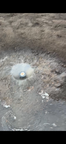 IMG_1576.png IMG_1576.png