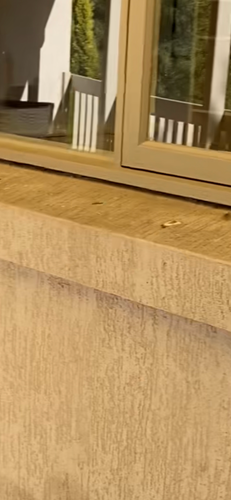 A8D34D9C-DA71-4E31-8869-4C65B9557062.png A8D34D9C-DA71-4E31-8869-4C65B9557062.png