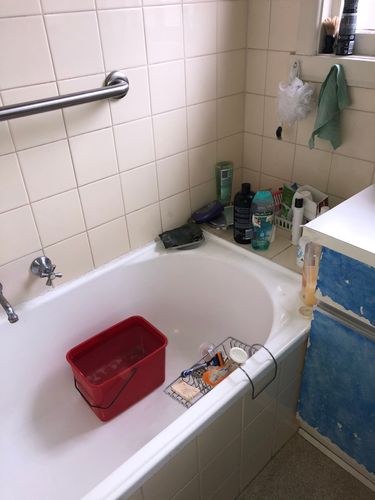 7D058A02-05C2-4194-A452-D60202DC1535.jpeg 7D058A02-05C2-4194-A452-D60202DC1535.jpeg