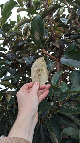 1000012929.jpg 1000012929.jpg