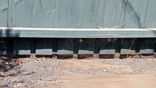 1000011028.jpg 1000011028.jpg