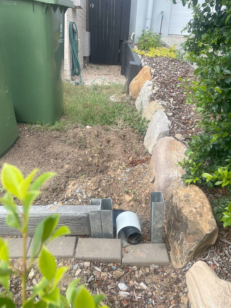 IMG_4587.jpeg IMG_4587.jpeg