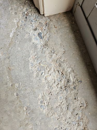 1000016109.jpg 1000016109.jpg