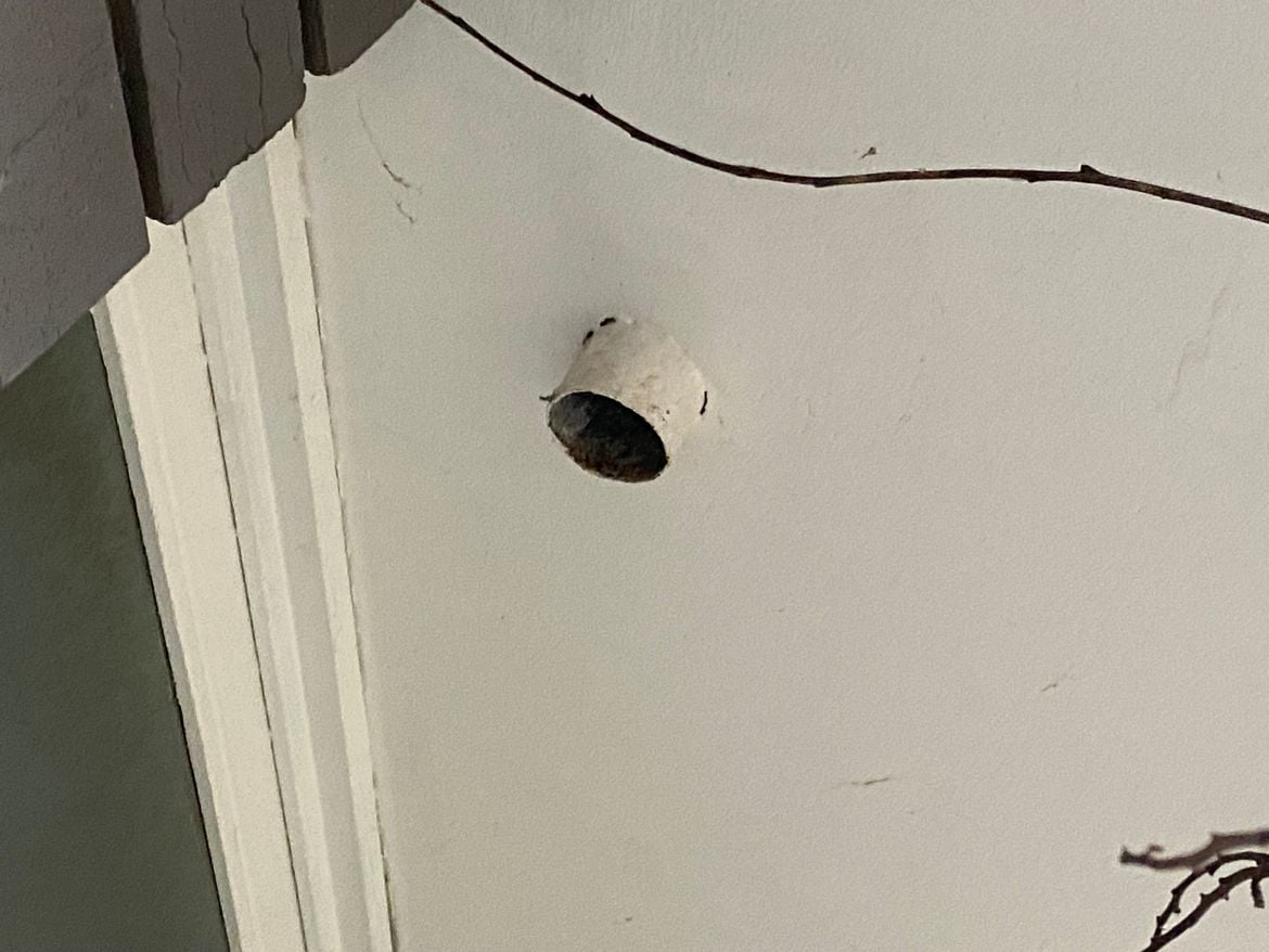 IMG_0878.jpg IMG_0878.jpg