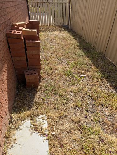 1000062276.jpg 1000062276.jpg