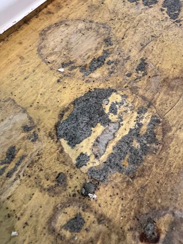 E195558B-6DCB-4C65-BF30-90EA071D9A05.jpeg E195558B-6DCB-4C65-BF30-90EA071D9A05.jpeg