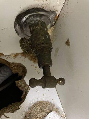 IMG_5208.jpeg IMG_5208.jpeg