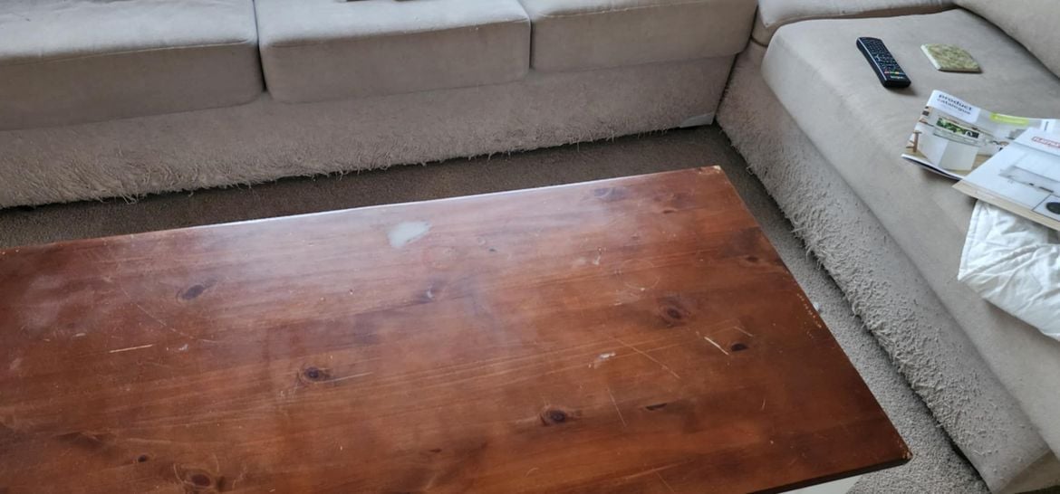 cat couch 2.jpg cat couch 2.jpg