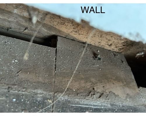 IMG_9543.jpeg IMG_9543.jpeg