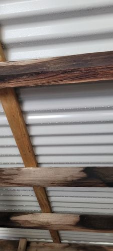 1000014988.jpg 1000014988.jpg