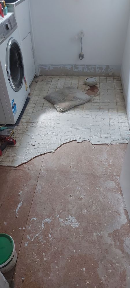 20221205_101338.jpg 20221205_101338.jpg