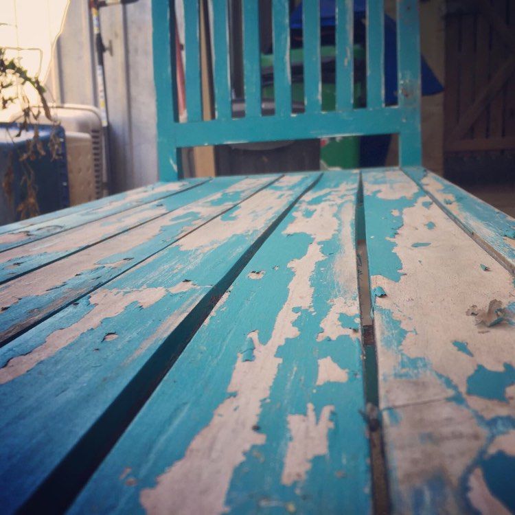 244096158_1085892362180173_885611482537677506_n.jpg 244096158_1085892362180173_885611482537677506_n.jpg