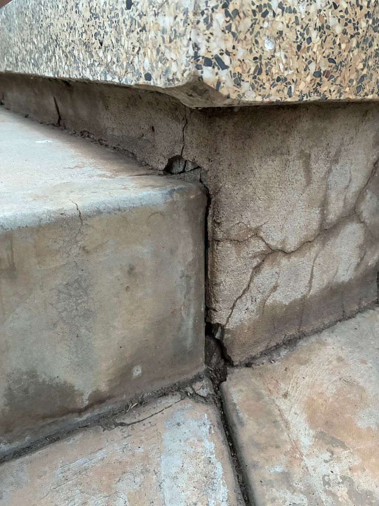 IMG_4270.jpeg IMG_4270.jpeg