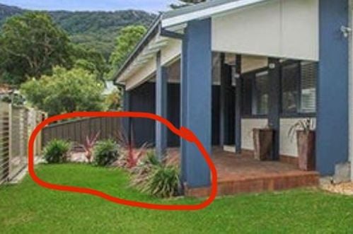 IMG_3102.jpeg IMG_3102.jpeg