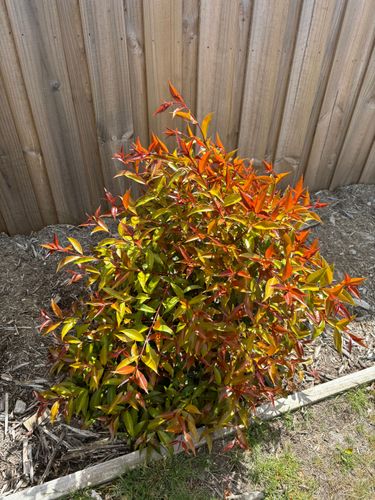 IMG_2214.jpeg IMG_2214.jpeg