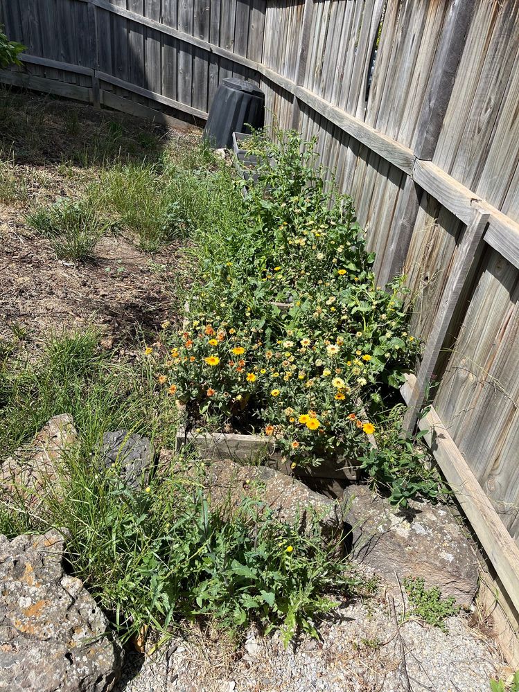 467745481_10160230340676436_7969370334553488138_n.jpg 467745481_10160230340676436_7969370334553488138_n.jpg