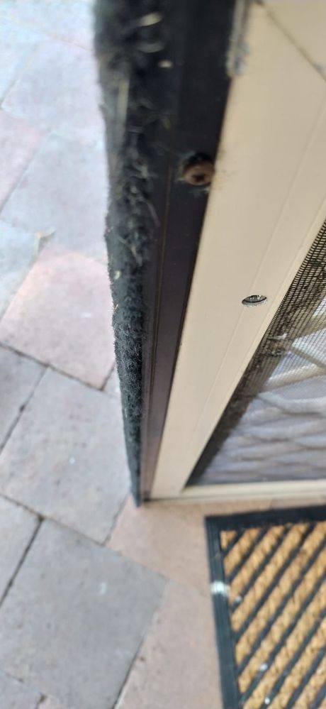 WhatsApp Image 2023-03-27 at 11.30.52 AM (2).jpeg WhatsApp Image 2023-03-27 at 11.30.52 AM (2).jpeg