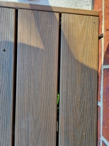 1000005432.jpg 1000005432.jpg