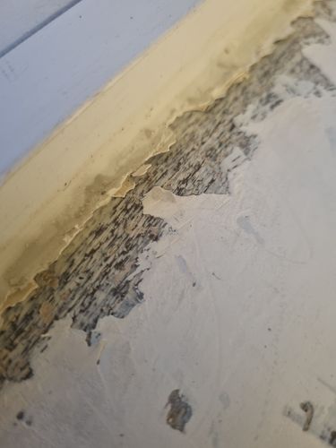 1000016203.jpg 1000016203.jpg