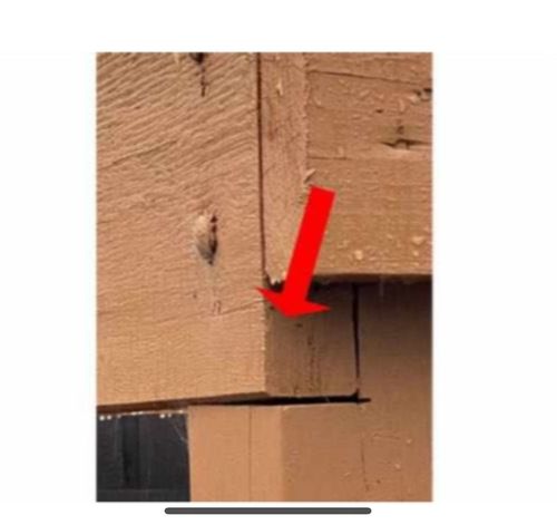 IMG_4269.jpeg IMG_4269.jpeg