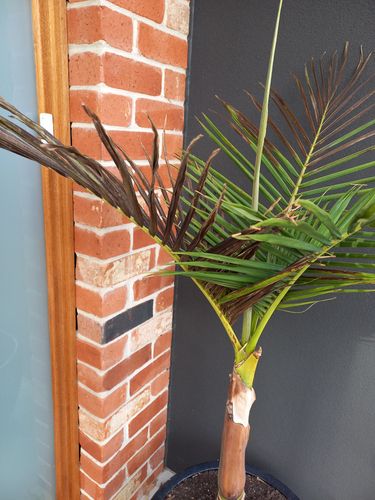 20241230_083201.jpg 20241230_083201.jpg