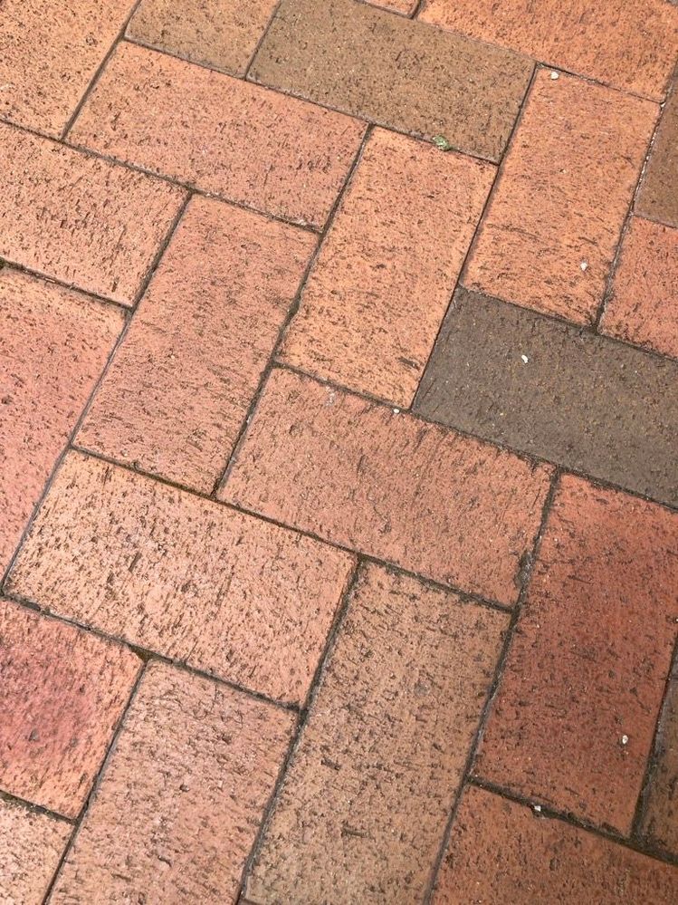 Image (26).jpg Image (26).jpg