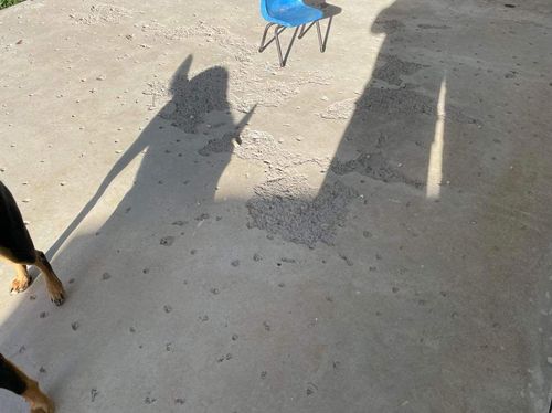 9F92B430-0CE6-4830-90D1-258BA71F66A1.jpeg 9F92B430-0CE6-4830-90D1-258BA71F66A1.jpeg