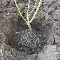 4.2 Check the level.jpg 4.2 Check the level.jpg