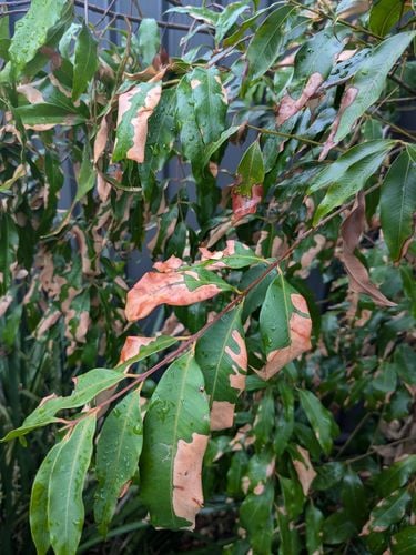 1000005412.jpg 1000005412.jpg