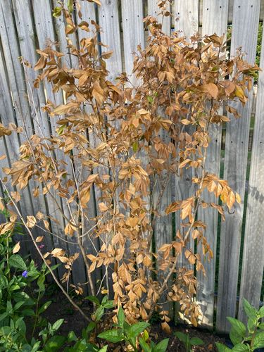 8EF0FF49-3E0D-4A2A-B2B8-7ED97101C524.jpeg 8EF0FF49-3E0D-4A2A-B2B8-7ED97101C524.jpeg