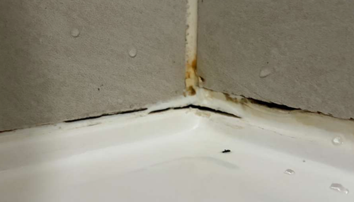 fan8956_1-1769601321677.png fan8956_1-1769601321677.png