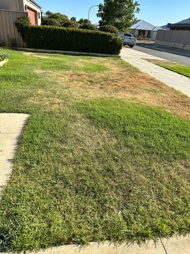 IMG_4526.jpeg IMG_4526.jpeg