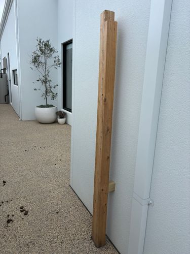 IMG_8011.jpeg IMG_8011.jpeg